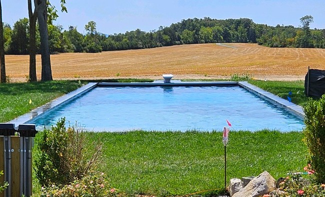 rectangular pool with diving board